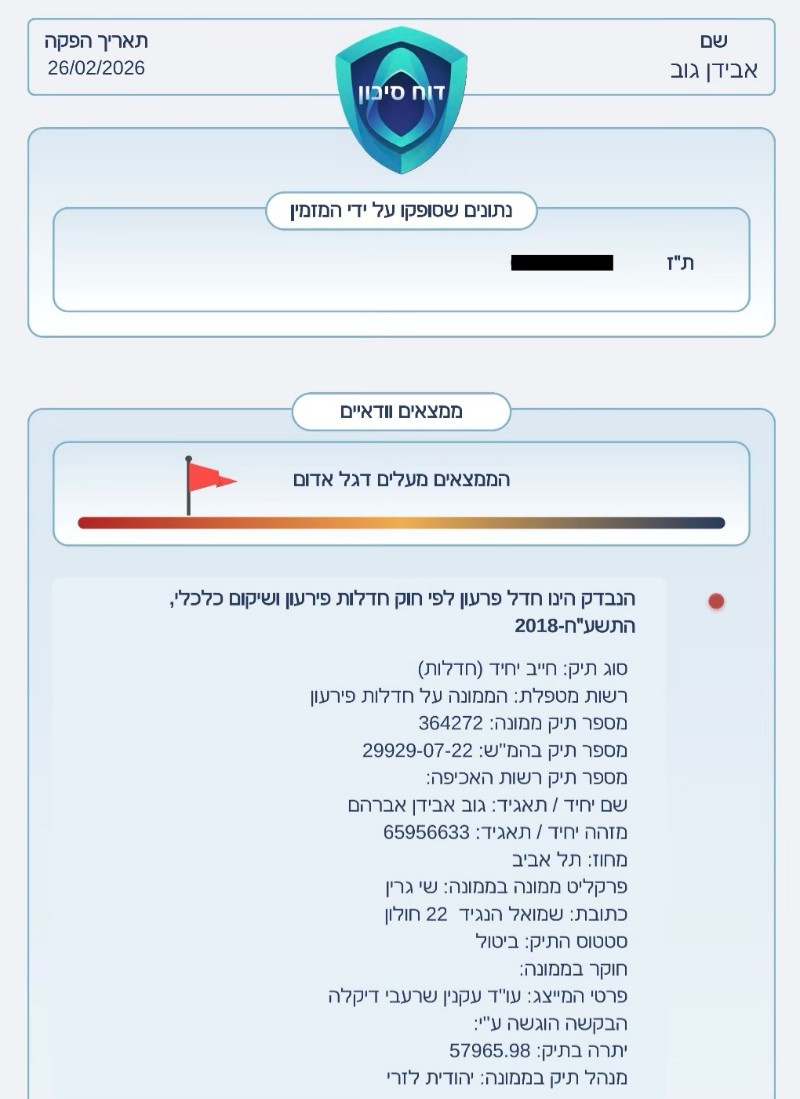 דוח סיכון